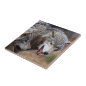 グレイ・ウルフ  タイル (側面)