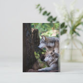 グレイ・ウルフ ポストカード (スタンド正面)