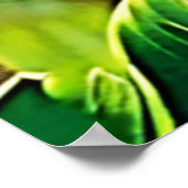 グレイ・オウム・パーチ ポスター (角)