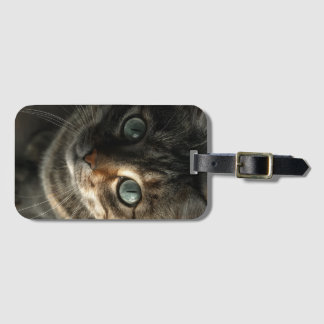 グレイ・キャット・ポートレートの壁掛けアート ラゲッジタグ
