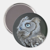 グレイ・スクリーチフクロウ マグネット (正面/裏面)