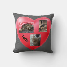 グレイ・タビー・キャット – インザ・ハート