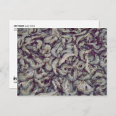 グレイ・プラウンス ポストカード (正面/裏面)