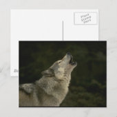 グレオウルフ ポストカード (正面/裏面)