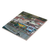 グレカリブのナダ、セントジョージ、セントジョージ タイル (側面)