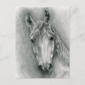 グレコ ポストカード (正面)