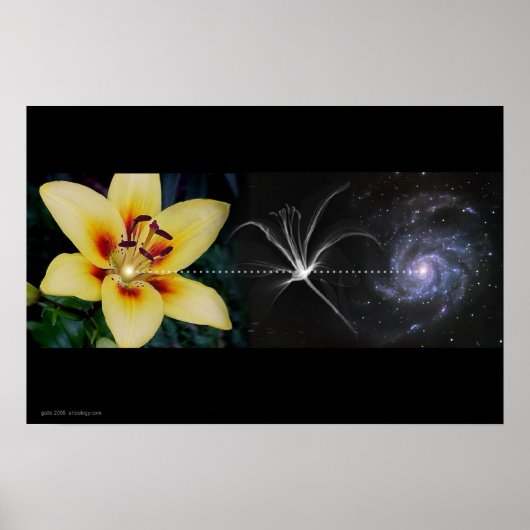 グレゴリー・ガロによるアンソニーのユリ ポスター (正面)