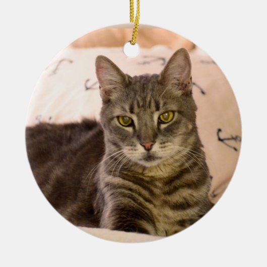 グレッグの虎猫猫のクリスマスのオーナメント セラミックオーナメント (正面)