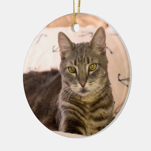 グレッグの虎猫猫のクリスマスのオーナメント セラミックオーナメント (左)