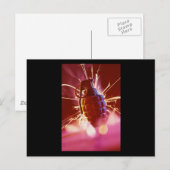 グレネード ポストカード (正面/裏面)