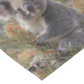 グレビリア・コアラ・ベア テーブルクロス (アングル)