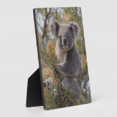 グレビリア・コアラ・ベア フォトプラーク (側面)