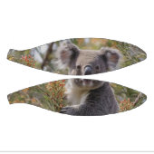 グレビリア・コアラ・ベア ミニバスケットボール (パネル)