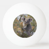 グレビリア・コアラ・ベア 卓球ボール (裏面)