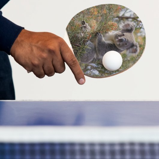 グレビリア・コアラ・ベア 卓球ラケット (インサイチュ)