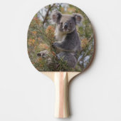 グレビリア・コアラ・ベア 卓球ラケット (正面)
