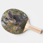 グレビリア・コアラ・ベア 卓球ラケット (横)