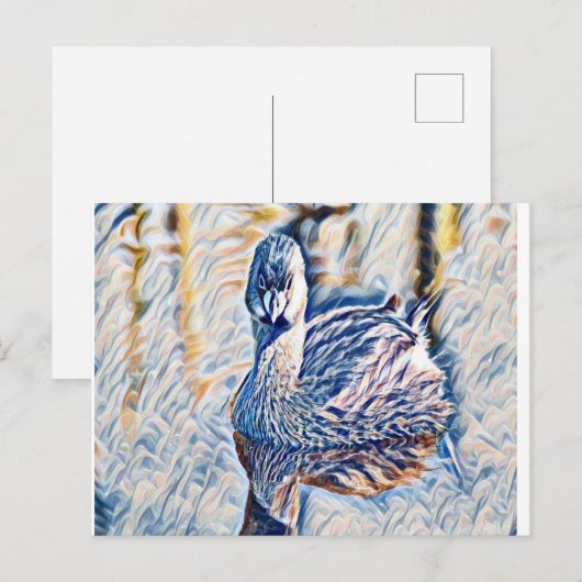 グレベ ポストカード (正面/裏面)