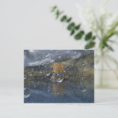 グレンにて雨　ポストカード ポストカード (スタンド正面)