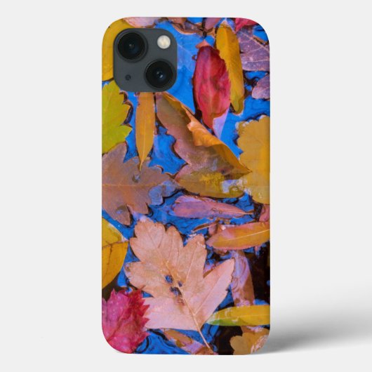 グレンキャニオン国立レクリエーションエリア2ユタ Case-Mate iPhoneケース (裏面)