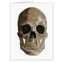 グレンギースカルハロウィーン