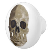 グレンギースカル セラミックノブ (右)