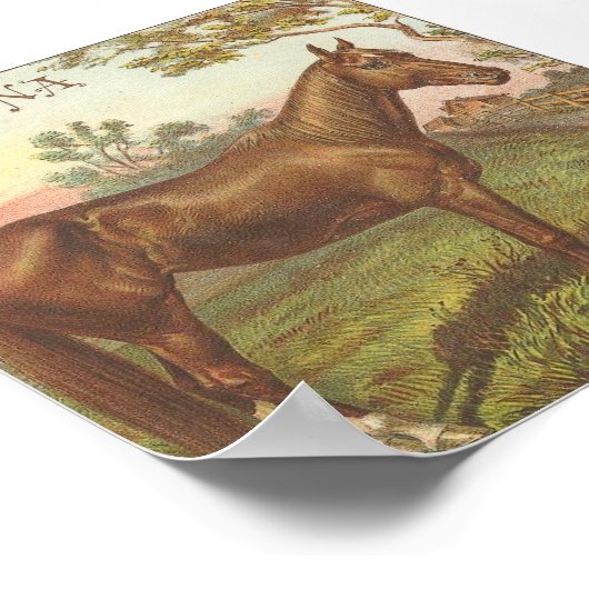 グレンコナ ポスター (角)