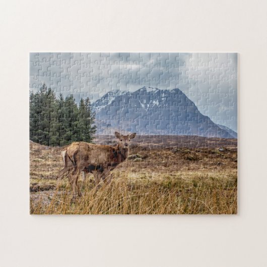 グレンコー・スコットランドの野生の赤い牡鹿 ジグソーパズル (横)