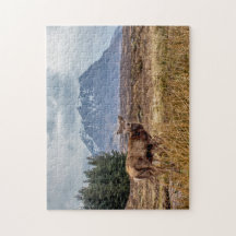 グレンコー・スコットランドの野生の赤い牡鹿