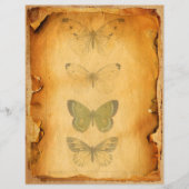 グレンジバタフライスクラップブック紙 (正面)