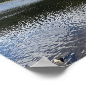 グレンダローレイクスカウンティウィクロウアイルランドヨーロッパ ポスター (角)