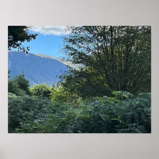 グレンダローレイクスカウンティウィクロウアイルランドヨーロッパ ポスター (正面)