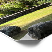 グレンダローレイクスカウンティウィクロウアイルランドヨーロッパ ポスター (角)