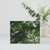 グレンヘレンメープル ポストカード (スタンド正面)