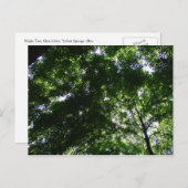 グレンヘレンメープル ポストカード (正面/裏面)