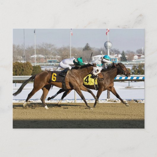 グレン考えビートカ魅力的ラ ポストカード (正面)