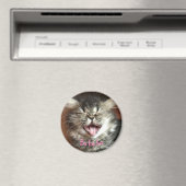 グレーおもしろいの子猫を笑うペルシャユーモアのある猫 マグネット (インサイチュ (食洗機))