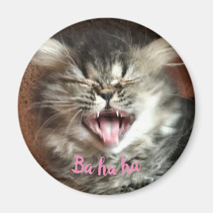 グレーおもしろいの子猫を笑うペルシャユーモアのある猫 マグネット