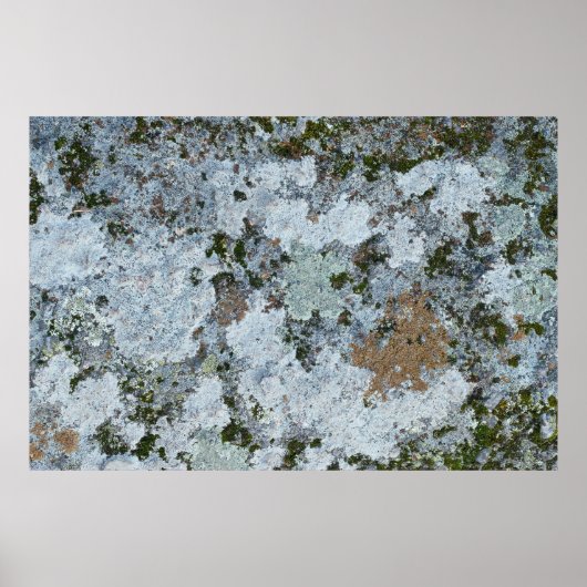 グレーとグリーンのイラストレーション ポスター (正面)