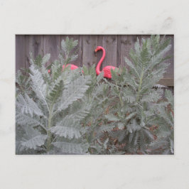 グレーとピンクの配置 ポストカード