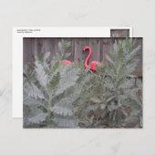 グレーとピンクの配置 ポストカード (正面/裏面)