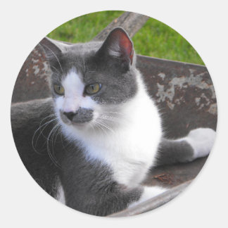 グレーとホワイトの猫ステッカー ラウンドシール
