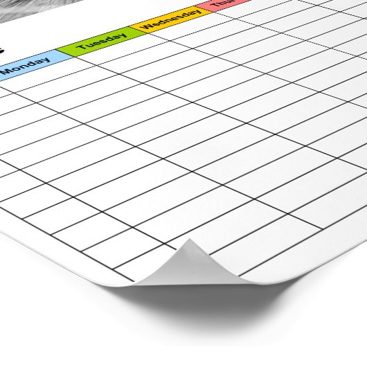 グレーと白の猫が緑/時刻表に ポスター (角)