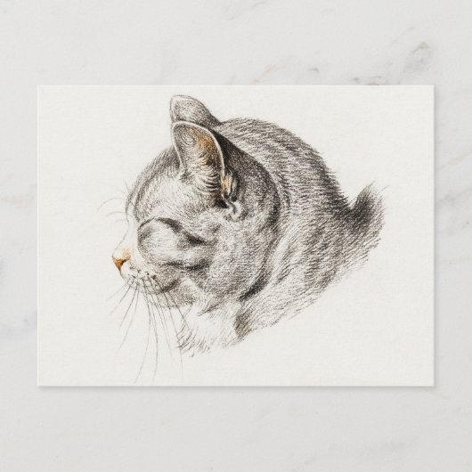 グレーと白の猫のプロファイル ポストカード (正面)