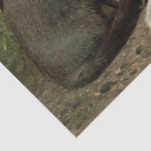 グレーと白の猫のEphemeraデコパージュ 薄葉紙 (詳細)