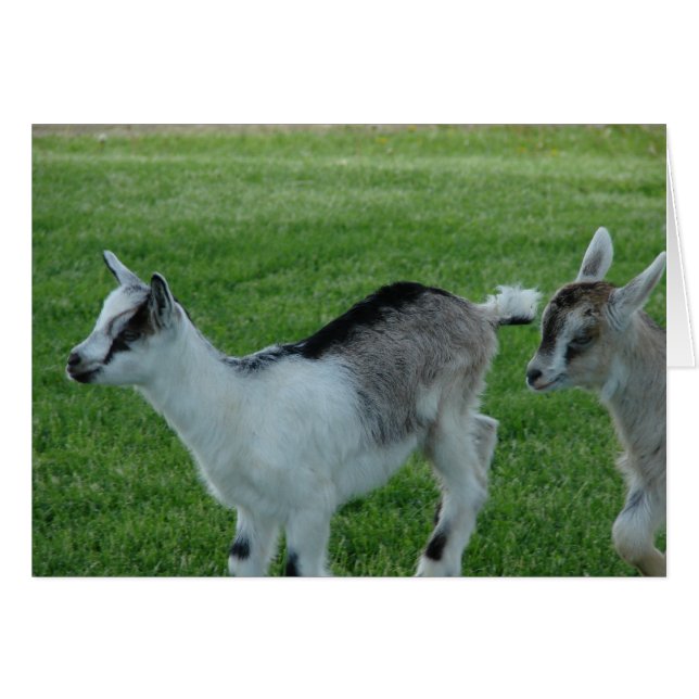 グレーと赤 (正面横)