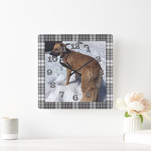 グレーと黒の格子柄のDIY犬の写真 スクエア壁時計 (ホーム)