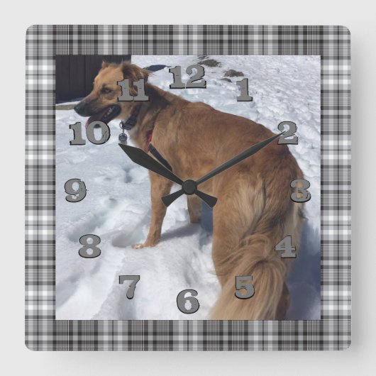 グレーと黒の格子柄のDIY犬の写真 スクエア壁時計 (正面)