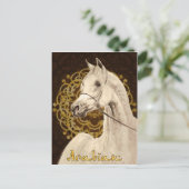 グレーのアラビア馬はがき ポストカード (スタンド正面)