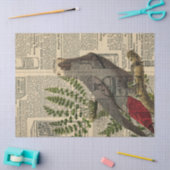 グレーのオウムのヴィンテージカタログの切り離し 薄葉紙 (クラフト)